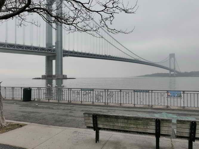 NYC_2020-02-01 12-08-01_P1090206